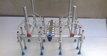 Customized vacuum tray